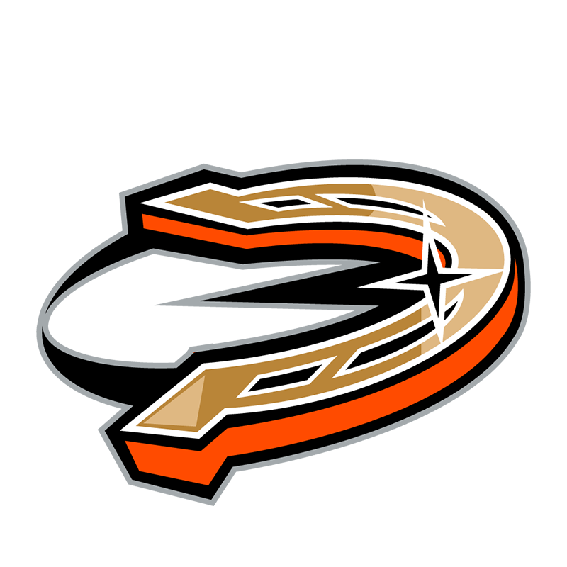Anaheim Ducks Entertainment logo iron on transfers